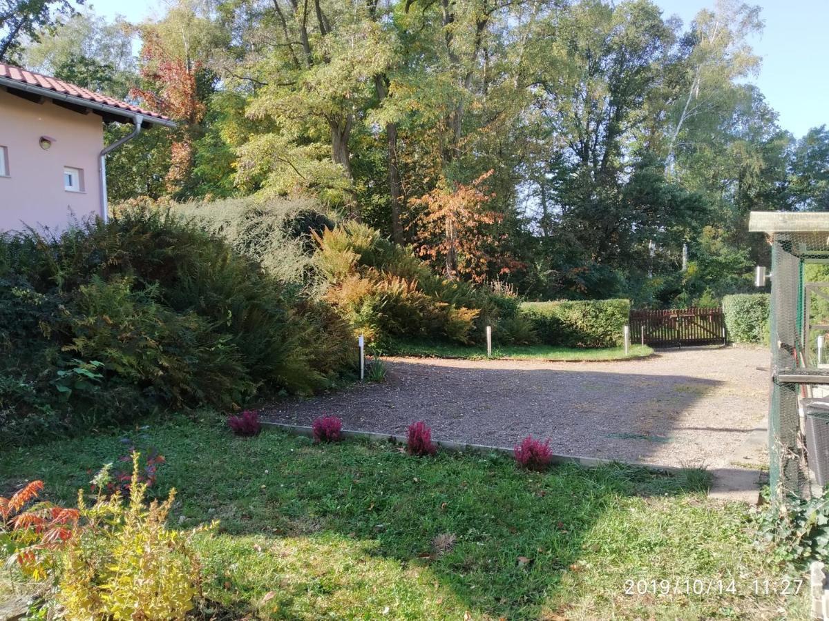 Kleines Gartenhaus Am Mahler Großschirma エクステリア 写真